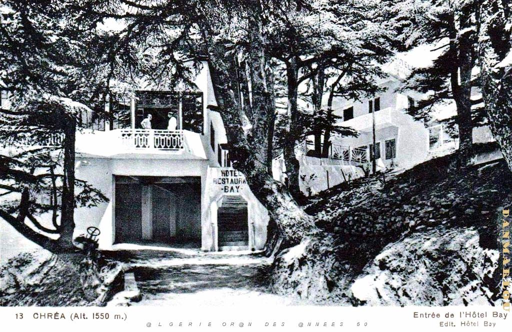 CHREA - HOTEL BAY.jpg